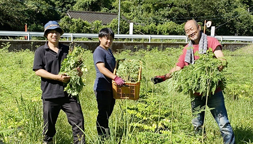 生産農家